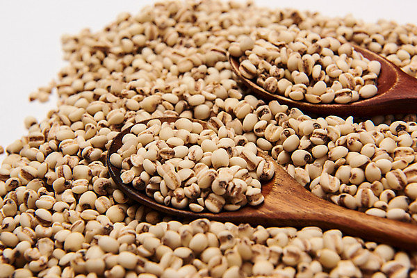 포토 JPG 스튜디오촬영 곡류 실내 근접촬영 사람없음 두개 추수 담기 나무숟가락 율무 국내포토 뷰포인트 2 농업 모션 내부 숟가락 파일형식