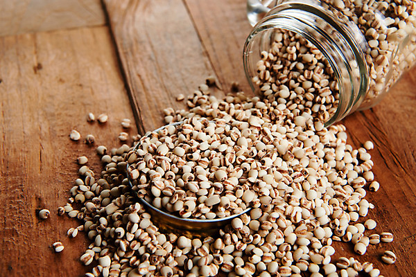 포토 JPG 스튜디오촬영 그릇 유리병 곡류 실내 사람없음 추수 잡곡 쏟아짐 율무 나무배경 국내포토 식기 백그라운드 농업 모션 병_용기 내부 파일형식