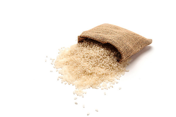 포토 JPG 스튜디오촬영 곡류 실내 사람없음 추수 쌀 가을 주머니 흰배경 유기농 쏟아짐 국내포토 웰빙 계절 백그라운드 농업 모션 내부 흰색 파일형식