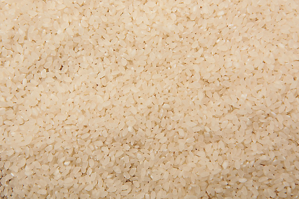 포토 JPG 스튜디오촬영 곡류 실내 근접촬영 사람없음 추수 쌀 국내포토 뷰포인트 농업 내부 파일형식