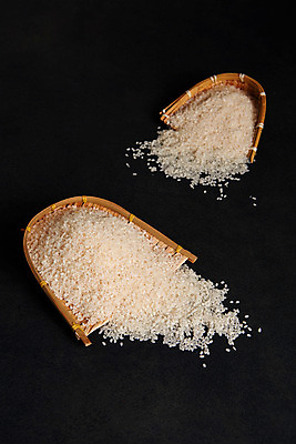 포토 JPG 스튜디오촬영 검은배경 곡류 실내 사람없음 두개 추수 쌀 키_도구 국내포토 백그라운드 2 농업 내부 검은색 도구 파일형식