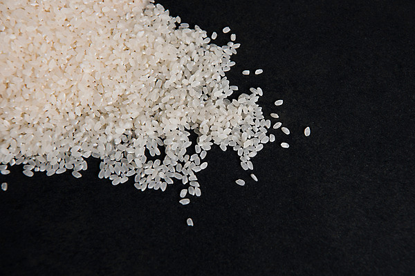 포토 JPG 스튜디오촬영 검은배경 곡류 실내 사람없음 추수 쌀 국내포토 백그라운드 농업 내부 검은색 파일형식