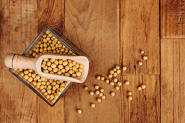 포토 JPG 스튜디오촬영 그릇 콩 곡류 실내 사람없음 하이앵글 추수 흘림 대두 스쿱 플랫레이 나무배경 국내포토 식기 뷰포인트 백그라운드 농업 모션 내부 플랫 파일형식
