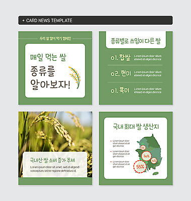 PSD 템플릿 캠페인 웹템플릿 그래프 논 종류 사람없음 일상 세트 벼 쌀 먹기 상승 한반도 찹쌀 현미 흑미 카드뉴스 이미지템플릿 컨셉 농업 모션 곡류 라이프 파일형식