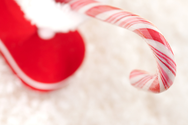 포토 JPG 해외이미지 나무 전통 계절 백그라운드 크리스마스 겨울 휴가 양말 부츠 사탕 선물 사람없음 장식 빨간색 세로 초록색 상자 축제 놀람 종 흰색 나뭇가지 축하 가득함 폭식 고립 해외202004 해외포토 식물 기념일 감정 컬러 신발 컨셉 디저트 표정 파일형식 이미지허브