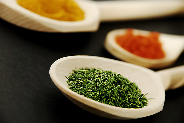 포토 JPG 해외이미지 파프리카 사람없음 숟가락 조미료 맛 허브 향신료 매움 나무숟가락 딜 강황 해외202004 해외포토 식물 컨셉 채소 식재료 수저 향미료 파일형식 이미지허브