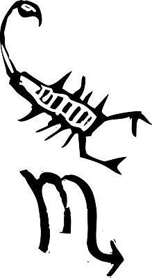 포토 JPG 해외이미지 별 미래 사람없음 별자리 역사 재산 문신 사인 점성술 천문학 물병자리 해외202004 해외포토 자연요소 교육 컨셉 금융 파일형식 이미지허브