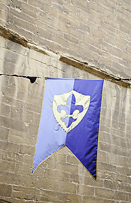 포토 JPG 해외이미지 전통 배너 무기 백그라운드 패턴 일러스트 파충류 왕관 프레임 사람없음 그래픽 장식 힘 방 수확 골동품 용 깃발 중세 황금 왕 그림 질감 복고 싸움 신화 방패 휘장 고딕 리갈 몬스터 바로크 빅토리아 아라베스크 왕국 해외202004 해외포토 동물 무늬 농업 모션 역사 파일형식 이미지허브