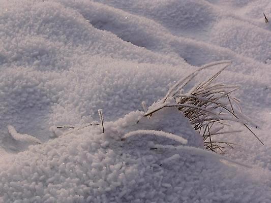 포토 JPG 해외이미지 계절 공원 백그라운드 크리스마스 겨울 자연 벽지 날씨 추상 휴가 풍경 사람없음 야외 파란색 빛 햇빛 맑음 냉동 얼음 추위 흰색 시골 눈송이 12월 질감 서리 장면 눈덩이 1월 내추럴 제설기 폭설 눈내림 해외202004 해외포토 자연요소 공공시설 기념일 컬러 무늬 눈_날씨 태양 날짜 자연재해 생태계 제설 파일형식 이미지허브
