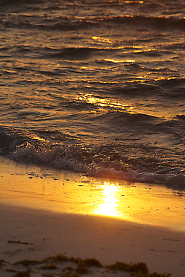 포토 JPG 해외이미지 계절 모래 파도 바다 여행 오렌지 자연 아침 날씨 휴가 휴식 따뜻함 풍경 사람없음 물 여름 빛 반짝임 햇빛 태양 반사 노란색 평화 일출 고요 황혼 일몰 봄 새벽 광선 황금 속도 휴양지 해외202004 해외포토 주간 자연요소 컬러 컨셉 과일 모션 노을 장소 생태계 파일형식 이미지허브