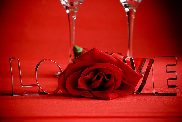 포토 JPG 해외이미지 모양 계절 꽃잎 꽃 감정 2 휴가 기념 함께함 발렌타인데이 선물 사랑 사람 사람없음 빨간색 단어 빛 장미 하트 마음 인사 유혹 열정 해외202004 해외포토 식물 문자 컬러 컨셉 데이이벤트 예절 파일형식 이미지허브