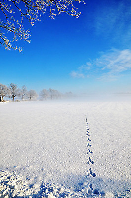 포토 JPG 해외이미지 주간 겨울 자연 하늘 스웨덴 사람없음 야외 설원 발자국 흔적 스칸디나비아 겨울풍경 해외202004 눈덮임 해외포토 자연요소 계절 컨셉 자국 눈_날씨 북유럽 풍경 생태계 파일형식 이미지허브