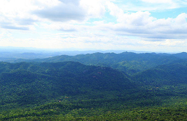 포토 JPG 해외이미지 나무 식물 구름 계절 공원 아시아 도로 여행 백그라운드 밭 곡선 태국 자연 하늘 산 파노라마 동양인 풍경 사람없음 야외 초록색 여름 파란색 환경 봄 시골 정상 숲 큼 땅 장면 내추럴 산악지대 넘어짐 해외202004 해외포토 자연요소 공공시설 나라 길 선 컬러 농업 교통시설 모션 촬영기법 인종 크기 생태계 파일형식 이미지허브