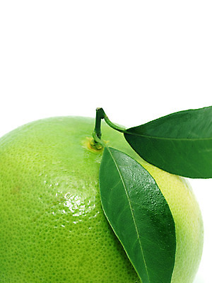 포토 JPG 해외이미지 라이프스타일 음료 음식 백그라운드 잎 오렌지 과일 재료 자연 귤 건강 그림자 사람없음 가로 빨간색 초록색 노란색 활발 흰색 신선 달콤 자르기 먹기 가득함 오브젝트 싱글 상쾌 유기농 날것 향기 슛 문학 길이 고립 숙성 채식주의자 해외202004 해외포토 식물 웰빙 감정 컬러 컨셉 모션 생활 맛 생태계 채식 냄새 파일형식 이미지허브