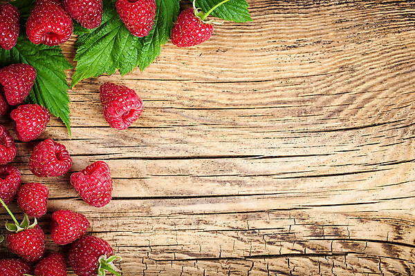 포토 JPG 해외이미지 열매 음식 백그라운드 잎 과일 디저트 건강 사람없음 목재 빨간색 초록색 여름 우주 신선 달콤 정상 유기농 산딸기 흙더미 내추럴 숙성 채식주의자 카피스페이스 해외202004 해외포토 나무 식물 웰빙 계절 컬러 재료 흙 공백 맛 채식 파일형식 더미 이미지허브