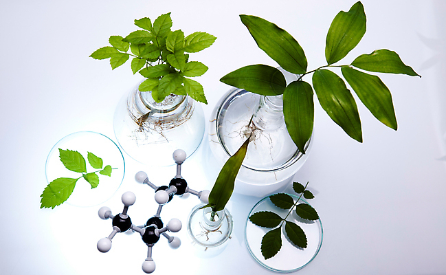 포토 JPG 해외이미지 식물 실내 실험 사람없음 액체 화학 실험실 플라스크 흰배경 화학실험 분자구조모형 샬레 해외202004 해외포토 과학 백그라운드 실험기구 내부 모형 흰색 분자구조 파일형식 이미지허브