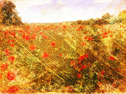 포토 JPG 해외이미지 식물 디자인 계절 꽃잎 꽃 유럽 종이 여행 백그라운드 꽃무늬 밭 농업 건축양식 자연 하늘 날씨 추상 미술 풍경 사람없음 야외 빨간색 초록색 여름 파란색 빛 햇빛 태양 맑음 일몰 활발 수확 성장 벚꽃 흰색 시골 도시 점 신용카드 재산 저녁 허브 질감 복고 엽서 장면 양귀비 고립 밭일 엘리먼트 옛날 스타일 수평선 해외202004 해외포토 자연요소 건축 나라 산업 컬러 컨셉 무늬 문화예술 금융 노을 야간 편지 생태계 파일형식 이미지허브