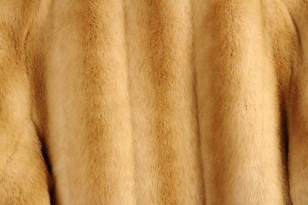 포토 JPG 해외이미지 동물 옷 백그라운드 표면 추상 털 따뜻함 사람없음 갈색 유행 사진촬영 재킷 코트 고급 우아함 닫기 모피 질감 복고 여우 솜털 내추럴 진짜 해외202004 해외포토 컬러 컨셉 무늬 포유류 모션 촬영 외투 파일형식 이미지허브