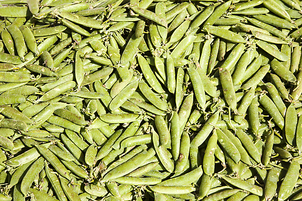 포토 JPG 해외이미지 식물 음식 백그라운드 농업 다이어트 채소 과일 자연 추상 건강 씨앗 사람없음 세로 초록색 농작물 주방 정원 수확 성장 신선 그룹 달콤 먹기 준비 유기농 완두콩 날것 성분 내추럴 꼬투리 숙성 채식주의자 해외202004 해외포토 웰빙 산업 컬러 무늬 모션 콩 맛 생태계 채식 파일형식 이미지허브