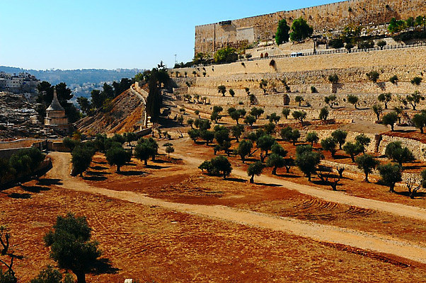 포토 JPG 해외이미지 나무 전통 기독교 종교 문화 벽 여행 건축양식 하늘 벽돌 산 사람없음 파란색 교회 믿음 탑 계곡 성경 바위 도시 사찰 예수 역사 이슬람교 묘사 올리브 모스크 신성 기념물 유대인 장례 신앙심 예루살렘 옛날 유태교 이스라엘 장례식 팔레스타인 해외202004 해외포토 식물 건축물 열매 건축 감정 컬러 중동 종교용품 종교건축 건물 돌_바위 신_종교 서아시아 파일형식 이미지허브