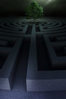 포토 JPG 해외이미지 나무 식물 길 벽 컨셉 자연 아이디어 사람없음 꿈 복도 센터 심볼 문제 미로 해결 방법 복잡 생태학 어려움 해외202004 해외포토 교육 생태계 파일형식 이미지허브