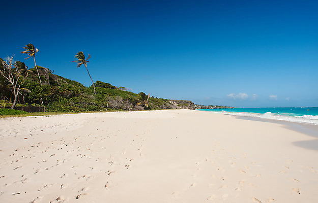 포토 JPG 해외이미지 나무 모래 파도 바다 섬 여행 백그라운드 자연 하늘 휴가 풍경 사람없음 물 여름 파란색 햇빛 태양 침묵 코코넛 대서양 석호 강렬 이국적 터키석 파라다이스 해외202004 해외포토 자연요소 식물 계절 컬러 과일 소리 보석 생태계 파일형식 이미지허브
