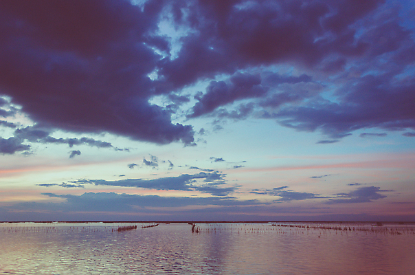 포토 JPG 해외이미지 구름 호수 모래 바다 백그라운드 밭 자연 갈매기 하늘 휴가 파노라마 풍경 사람없음 물 여름 파란색 빛 햇빛 태양 일출 침묵 일몰 수확 광선 흰색 저녁 큼 속도 복고 내추럴 넘어짐 파스텔톤 필터 수평선 해외202004 해외포토 자연요소 계절 컬러 농업 모션 조류 촬영기법 노을 소리 야간 크기 생태계 파일형식 이미지허브