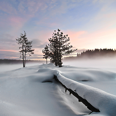 포토 JPG 해외이미지 나무 구름 호수 겨울 오렌지 자연 하늘 풍경 사람없음 야외 빨간색 물 파란색 태양 일출 냉동 일몰 추위 안개 황무지 숲 서리 정사각형 해외202004 해외포토 자연요소 도형 식물 계절 컬러 과일 날씨 노을 생태계 파일형식 이미지허브