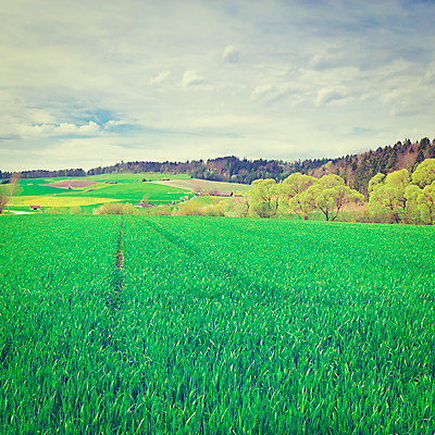 포토 JPG 해외이미지 나무 식물 구름 유럽 도로 여행 밭 농업 자연 하늘 산 주택 풍경 사람없음 초록색 여름 파란색 농가 농장 마을 계곡 가축 봄 목장 수확 성장 시골 재산 숲 스위스 언덕 복고 정사각형 알프스 먼지 땅바닥 샬레 소셜네트워크 필터 해외202004 해외포토 자연요소 도형 동물 계절 나라 산업 길 컬러 교통시설 바닥 실험기구 건물 금융 생태계 파일형식 이미지허브