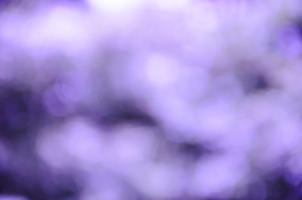 포토 JPG 해외이미지 식물 디자인 계절 백그라운드 잎 크리스마스 패턴 자연 하늘 추상 사람없음 빨간색 초록색 여름 빛 컬러풀 햇빛 환경 맑음 보라색 봄 활발 소프트포커스 숲 질감 보케 부드러움 내추럴 광 블러 생태학 효과 해외202004 해외포토 교육 기념일 컬러 컨셉 무늬 날씨 촬영기법 태양 감각 생태계 파일형식 이미지허브