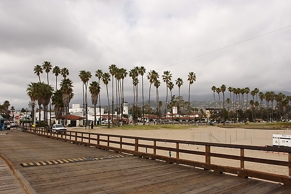 포토 JPG 해외이미지 나무 공원 길 모래 바다 여행 자국 자연 하늘 휴가 손바닥 풍경 사람없음 물 파란색 태양 걷기 미국 캘리포니아 서쪽 해외202004 해외포토 자연요소 식물 손 공공시설 컬러 북아메리카 모션 방향 생태계 파일형식 이미지허브