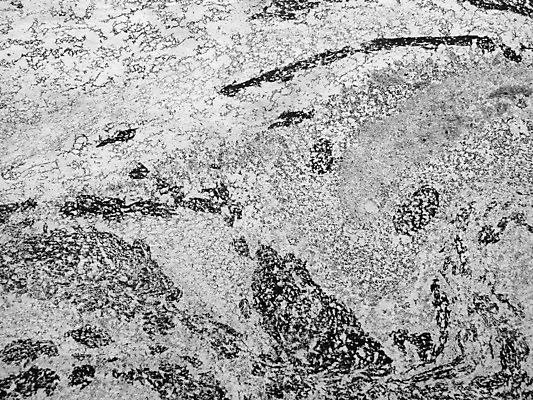 포토 JPG 해외이미지 종이 백그라운드 벽지 추상 사람없음 우주 수확 골동품 질감 복고 페이지 시트 그런지 무료 양피지 옛날 해외202004 해외포토 무늬 농업 파일형식 이미지허브