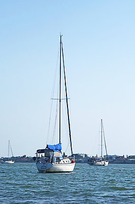 포토 JPG 해외이미지 바다 북아메리카 요트 하늘 항해 사람없음 물 항구 맑음 미국 만 보트 고급 크루즈 함선 포트 닻 짠맛 해외202004 해외포토 자연요소 컨셉 배_교통 교통시설 날씨 아메리카 맛 파일형식 이미지허브
