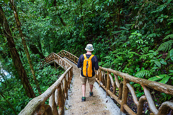 포토 JPG 해외이미지 나무 식물 공원 길 여행 자국 자연 산 매달리기 한명 풍경 야외 초록색 여름 여행객 환경 미국 트래킹 폭포 하이킹 관찰 숲 오솔길 열대우림 지역 내추럴 방법 백패커 산악가 전국 코스타리카 하이커 혼자 해외202004 해외포토 1 계절 공공시설 컬러 북아메리카 모션 레저 사람 중앙아메리카 생태계 파일형식 이미지허브