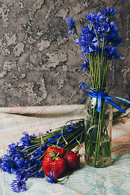 포토 JPG 해외이미지 식물 라이프스타일 접시 열매 꽃 음식 백그라운드 포크 잎 농업 과일 자연 탁자 딸기 아침 디저트 치즈 건강 요리 사람없음 목재 빨간색 초록색 파란색 컬러풀 정원 검은색 봄 흰색 시골 신선 달콤 맛 아침식사 정상 먹기 상쾌 유기농 고립 수레국화 채식주의자 해외202004 해외포토 주간 나무 식기 웰빙 계절 감정 산업 컬러 가구 컨셉 재료 모션 유제품 생활 식사 생태계 채식 파일형식 이미지허브