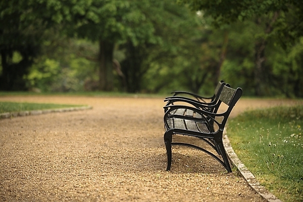 포토 JPG 해외이미지 나무 계절 공원 도로 길 가구 백그라운드 잎 벤치 의자 자연 휴식 풍경 잔디 사람없음 야외 목재 초록색 갈색 노란색 우주 정원 침묵 가을 오솔길 오브젝트 보케 장면 일반 구식 블러 스타일 해외202004 해외포토 식물 공공시설 컬러 생활용품 컨셉 재료 교통시설 소리 생태계 파일형식 이미지허브