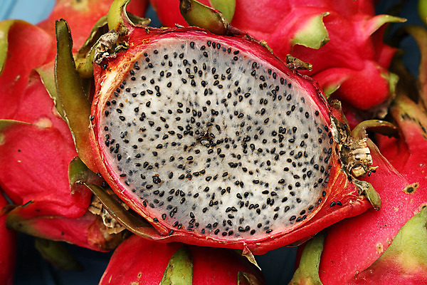 포토 JPG 해외이미지 계절 음식 십자가 과일 부분 선인장 건강 동양인 사람없음 빨간색 농작물 수확 흰색 용 그룹 시장 닫기 자르기 먹기 반쪽 각도 소매 강렬 매각 식용 이국적 많음 해외202004 해외포토 식물 컬러 컨셉 농업 모션 인종 파일형식 이미지허브