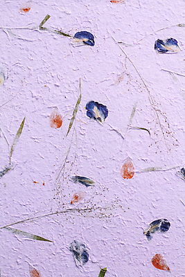 포토 JPG 해외이미지 식물 손 디자인 꽃 종이 백그라운드 잎 꽃무늬 텍스트 자연 벽지 표면 프레임 미술 사람없음 장식 초록색 노란색 우주 공백 재활용 회색 수확 흰색 신용카드 거친 편지 유기농 질감 모음 섬유 시트 내추럴 그런지 스크랩북 옛날 핸드메이드 불규칙 해외202004 해외포토 웰빙 컬러 컨셉 무늬 농업 문화예술 신체부위 금융 직물 친환경 생태계 파일형식 이미지허브