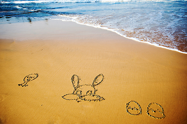 포토 JPG 해외이미지 계절 행복 모래 파도 바다 백그라운드 오렌지 태국 자연 하늘 휴가 부활절 기념 사람없음 장식 초록색 파란색 단어 바구니 우주 계란 보라색 봄 축하 편지 심볼 사인 해외202004 해외포토 문자 기념일 감정 아시아 컬러 컨셉 과일 알 생태계 파일형식 이미지허브