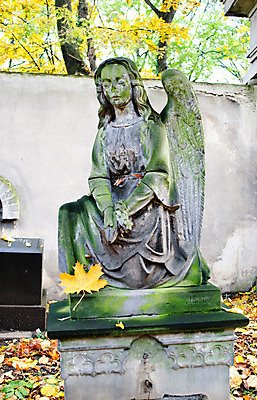 포토 JPG 해외이미지 종교 조각 날개 천사 미술 사람없음 조각상 교회 골동품 가을 바위 역사 프라하 옛날 해외202004 해외포토 계절 종교건축 문화예술 건물 조형물 돌_바위 체코 파일형식 이미지허브