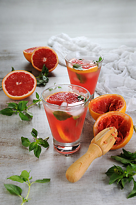 포토 JPG 해외이미지 잔 사람없음 칵테일 과실주 허브 자몽 과즙기 브랜디 해외202004 해외포토 식물 식기 과일 주류 파일형식 이미지허브