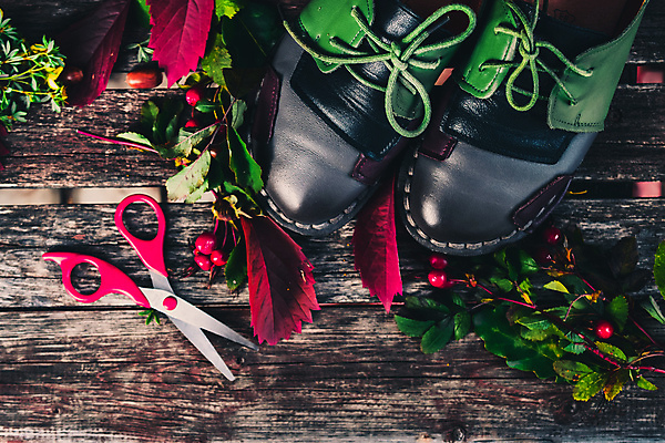 포토 JPG 해외이미지 식물 옷 계절 공원 남자 꽃 신발 잎 2 벤치 비즈니스 자연 포도 새로움 부츠 사람없음 여름 장미 갈색 유행 검은색 산책 가을 흰색 아기 쌍 클래식 숲 가죽 오브젝트 시골집 도토리 고립 양발 옛날 정물화 스타일 해외202004 해외포토 공공시설 컬러 컨셉 의자 과일 휴식 주택 사람 견과류 그림 생태계 파일형식 이미지허브