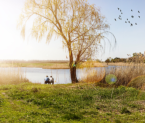 포토 JPG 해외이미지 나무 식물 공원 남자 호수 여행 백그라운드 벤치 자연 하늘 휴가 바닥 갈대 풍경 두명 목재 초록색 물 여름 파란색 강 반사 맑음 침묵 시골 투명 동물상 수평선 해외202004 해외포토 자연요소 계절 공공시설 컬러 의자 재료 날씨 사람 조형물 소리 생태계 파일형식 이미지허브