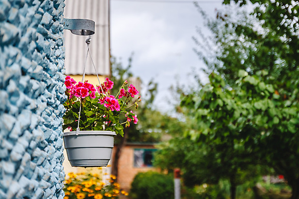 포토 JPG 해외이미지 식물 디자인 외관 꽃 유럽 화분 벽 여행 백그라운드 건축양식 창문 자연 주택 사람없음 야외 건물 장식 빨간색 초록색 여름 파란색 컬러풀 정원 봄 이탈리아 바위 흰색 개화 스페인 냄비 복고 조경 수도원 내추럴 안뜰 옛날 제라늄 토스카나 해외202004 해외포토 건축물 계절 건축 나라 컬러 돌_바위 솥 생태계 파일형식 이미지허브