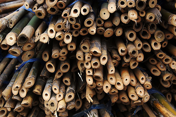 포토 JPG 해외이미지 나무 전통 산업 백그라운드 패턴 사람없음 야외 목재 갈색 쌓기 환경 에너지 화물 반지 소나무 원형 거친 그룹 주식 숲 장작 자르기 대나무 묘사 준비 질감 나무껍질 수납 자원 흙더미 다리찢기 내추럴 수목 개조 해외202004 해외포토 도형 식물 컬러 무늬 재료 장신구 모션 금융 흙 운송업 껍질 파일형식 더미 이미지허브