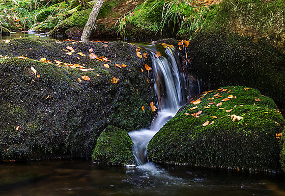 포토 JPG 해외이미지 유럽 자연 산 독일 풍경 사람없음 침묵 가을 개울 숲 10월 바이에른 해외202004 해외포토 계절 나라 강 소리 날짜 생태계 파일형식 이미지허브