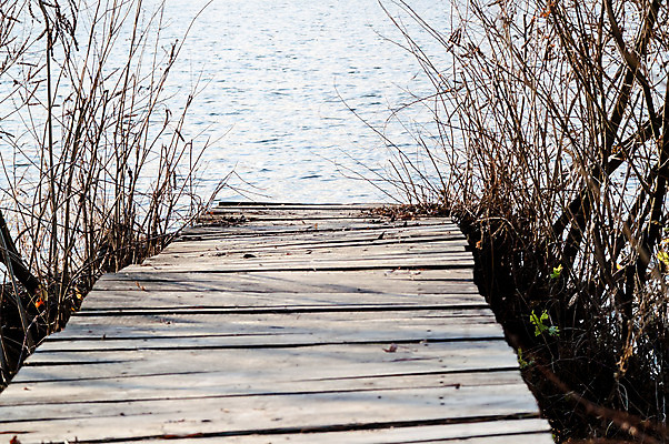포토 JPG 해외이미지 나무 건축물 호수 여행 백그라운드 겨울 자연 하늘 아침 산 풍경 사람없음 목재 초록색 물 파란색 강 햇빛 일출 침묵 봄 회색 기차 안개 가을 흰색 연못 닫기 정상 백합 작음 러시아 시베리아 옛날 수평선 해외202004 해외포토 주간 자연요소 식물 계절 건축 꽃 유럽 육상교통 컬러 재료 모션 날씨 대중교통 태양 노을 소리 크기 생태계 파일형식 이미지허브