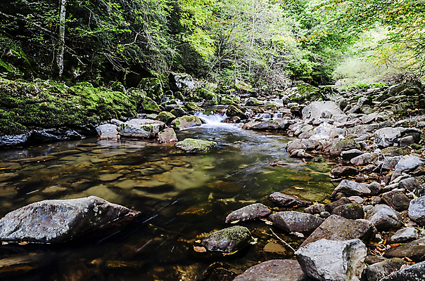 포토 JPG 해외이미지 응시 유럽 자연 하늘 그림자 사람없음 야외 목재 초록색 물 파란색 빛 컬러풀 태양 평화 흐름 스페인 숲 만족 질감 암초 내추럴 해외202004 해외포토 자연요소 나무 시선 감정 나라 컬러 컨셉 재료 생태계 파일형식 이미지허브