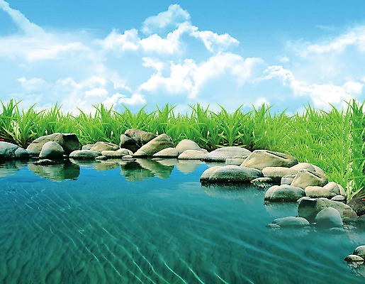 포토 JPG 해외이미지 나무 식물 구름 계절 호수 백그라운드 단풍 잎 밭 자연 하늘 날씨 추상 사람없음 야외 초록색 물 여름 파란색 빛 강 컬러풀 태양 반사 환경 봄 성장 나뭇가지 신선 숲 벌 유기농 데이지 꿀 떠남 해외202004 해외포토 자연요소 웰빙 꽃 컬러 곤충 무늬 농업 모션 생태계 파일형식 이미지허브