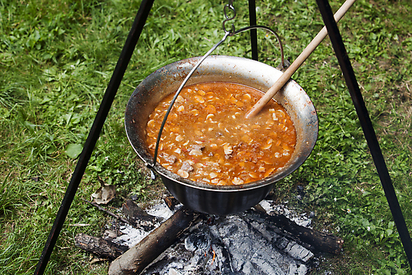 포토 JPG 해외이미지 라이프스타일 손 음식 여행 자연 주전자 휴가 매달리기 육류 요리 사람없음 야외 초록색 소풍 여행객 식사 저녁식사 버섯 캠핑 하이킹 연기 수프 더위 숲 장작 모닥불 국자 준비 벽난로 점심식사 끓이기 해외202004 해외포토 컬러 식재료 모션 주방용품 불 레저 날씨 사람 생활 신체부위 야외활동 생태계 파일형식 이미지허브